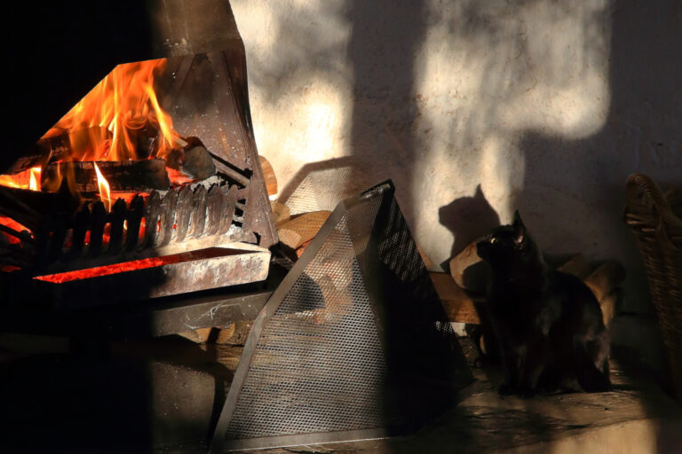 The Wisdom Of Wintering: A Time to Retreat and Renew